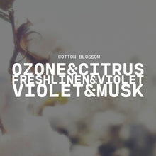 Load image into Gallery viewer, 5.5 oz Wax Melts: Cotton Blossom