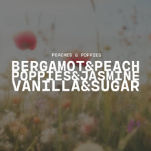 Load image into Gallery viewer, 5.5 oz Wax Melts: Peaches & Poppies