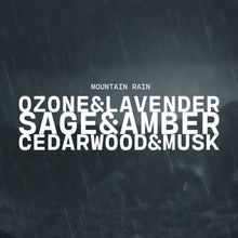 Load image into Gallery viewer, 5.5 oz Wax Melts: Mountain Rain