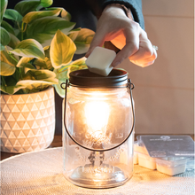 Load image into Gallery viewer, 5.5 oz Wax Melts: Wild Lilacs
