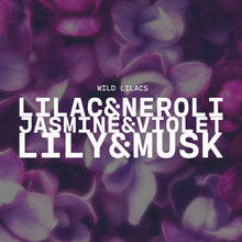 Load image into Gallery viewer, 5.5 oz Wax Melts: Wild Lilacs
