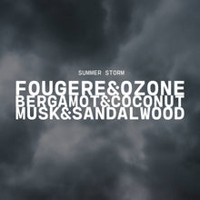 Load image into Gallery viewer, 5.5 oz Wax Melts: Summer Storm
