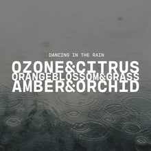 Load image into Gallery viewer, 5.5 oz Wax Melts: Dancing in the Rain
