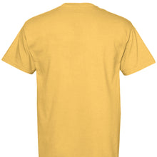 Load image into Gallery viewer, CITRUS - BACK
